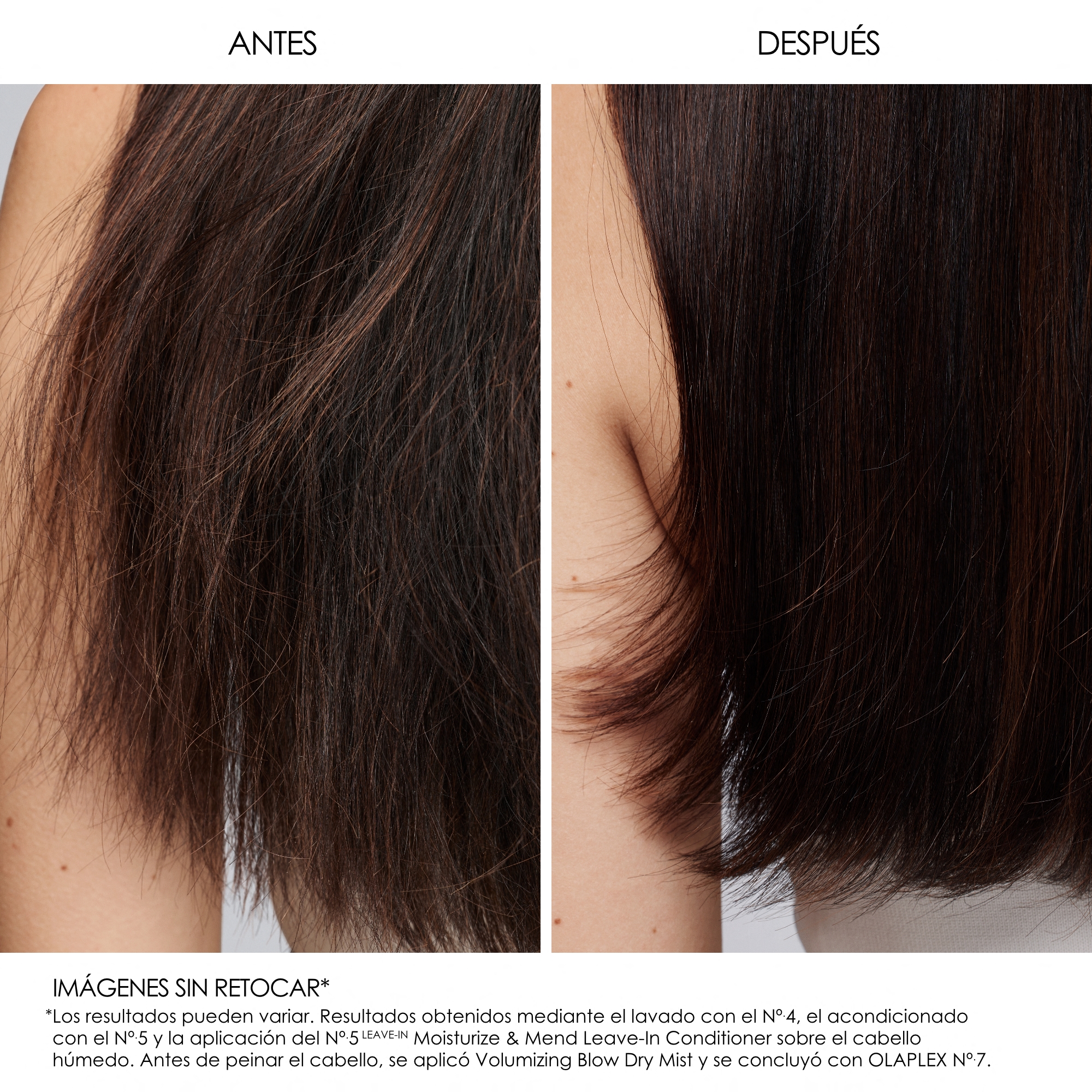 N°.5LEAVE-IN™ MOISTURIZE & MEND LEAVE-IN CONDITIONER (ACONDICIONADOR HIDRATANTE SIN ENJUAGUE)